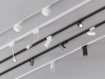Track Mounted Downlights And Spotlights In Black And White Modern Design 3d model