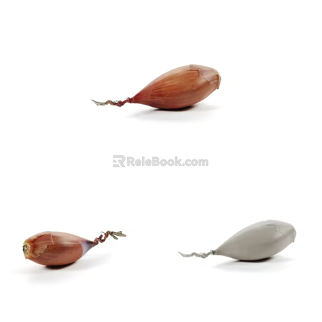 Modern Onion 3d model