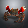 Red Clawed Crab With Dark Body And Detailed Legs On Dark Background