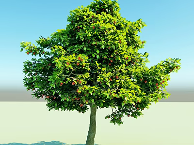 Lush Green Leafy Tree With Red Fruits Against Clear Blue Sky Background 3d model