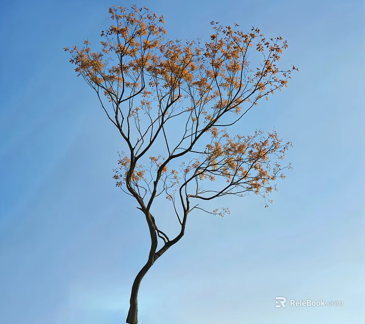 Slender Tree With Yellow Leaves And Branches Against Clear Blue Sky 3d model 