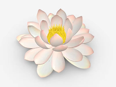 Beautiful Pink and White Lotus Flower with Vibrant Yellow Stamen in Full Bloom 3d model