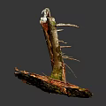 Natural Wooden Logs On Textured Stone Base With Red Brown And Green Mossy Accents