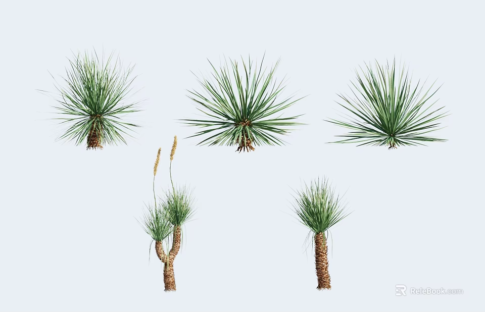 Various Green Plants with Long Thin Leaves in Different Shapes for Decoration 3d model 
