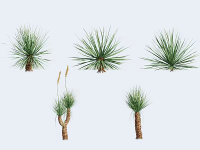 Various Green Plants with Long Thin Leaves in Different Shapes for Decoration 3d model