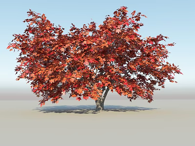 Deciduous Tree With Vibrant Red Autumn Leaves Against Blue Sky Background 3d model