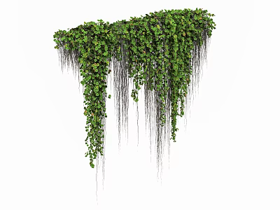 Green Vines Hanging Down With Lush Leaves And Long Trailing Stems 3d model