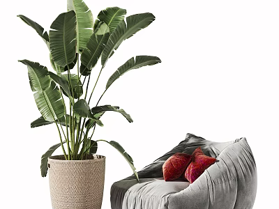 Gray Bean Bag Chair with Red Cushions and Large Green Plant in Woven Basket 3d model