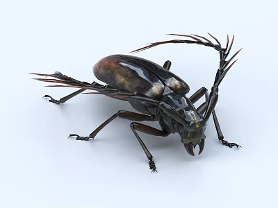 Aquatic Beetle With Shiny Exoskeleton And Long Antennae In Natural Habitat 3d model