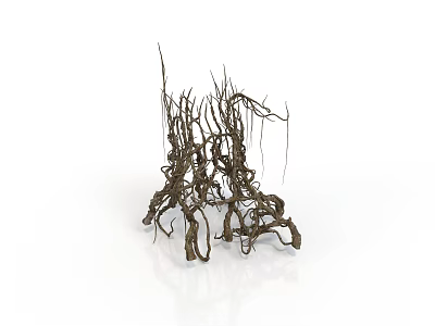 Dry Twisted Plant Branches With Natural Textured Vines And Curved Stems 3d model