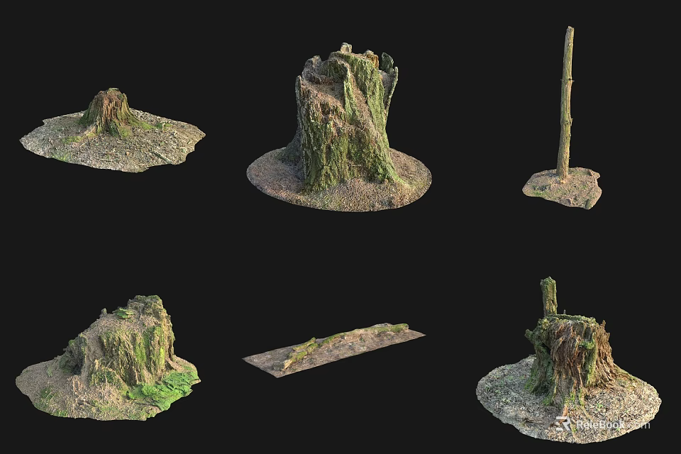 Multiple Arbor Tree Stumps With Various Shapes And Moss Covered Ground Base 3d model