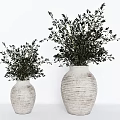 Two White Textured Vases With Green Foliage For Modern Home Decor