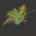 Colorful Feathery Fern Plant With Green And Orange Leaves On Dark Background With Reflection