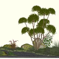 Garden landscape plant multi-head modeling tree courtyard tree stone sketch 3d model