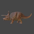 Detailed Brown Triceratops Dinosaur Model With Horns In Standing Pose