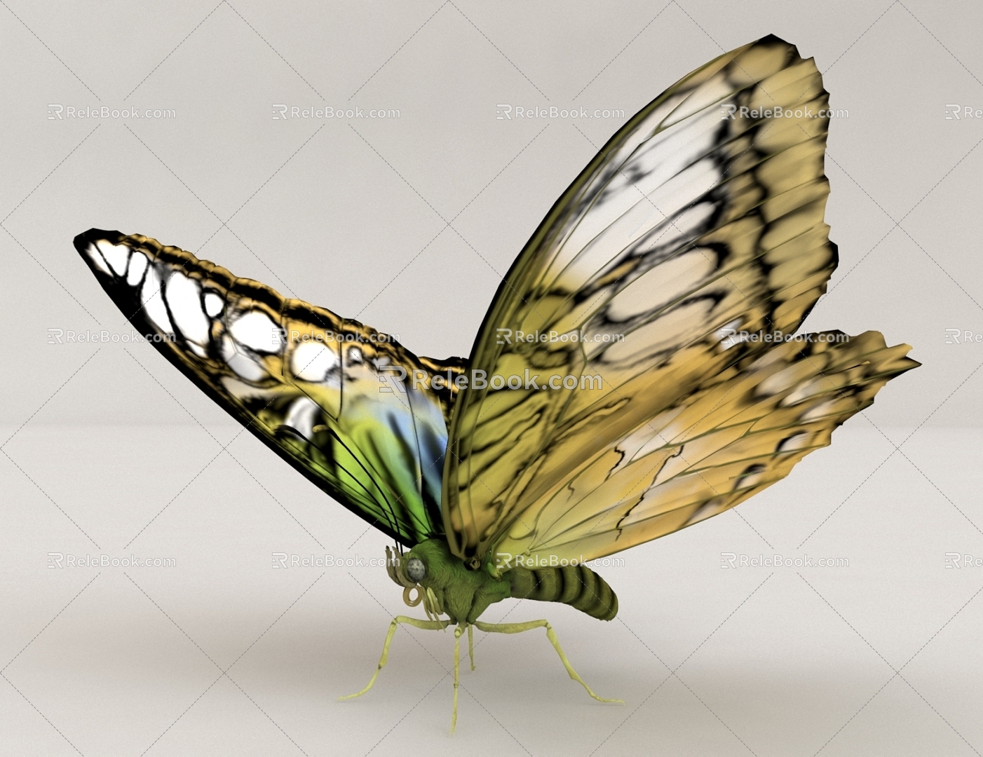 flying animal butterfly insect 3d model