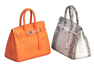 Luxury Orange Ostrich Leather and Silver Crocodile Leather Handbags with Classic Design 3d model
