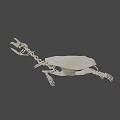 Anatomical Turtle Skeleton Display With Detailed Carapace On Green Geometric Background