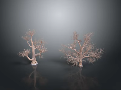 Leafless Trees Against Gray Background With Black Surface And Reflections 3d model