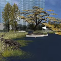 Waterfront Landscape with Modern High Rise Buildings Trees Yellow Leaves Grass and Rocks