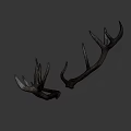 Natural Brown Deer Antlers As Decorative Wall Art For Rustic Homes