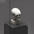 Black Display Cabinet Shelf with Top Lighting Holding White Sculpture on Black Base