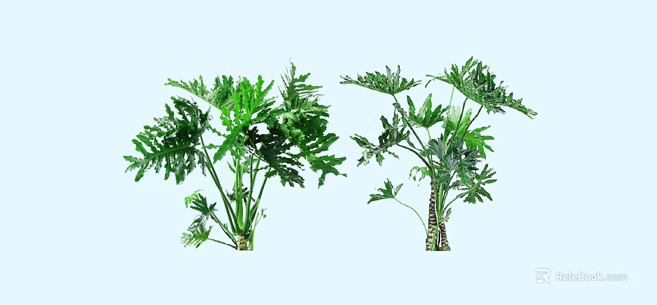 Two Lush Green Shrubs With Vibrant Foliage And Ornamental Leaf Shapes For Garden Landscaping 3d model 