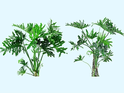 Two Lush Green Shrubs With Vibrant Foliage And Ornamental Leaf Shapes For Garden Landscaping 3d model