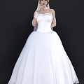 Elegant Woman in White Strapless Ball Gown Wedding Dress with Veil Tiara and Necklace