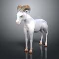 White Ram With Large Curved Horns And Green Eyes Standing On Dark Background With Reflection