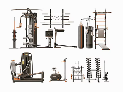 Essential Gym Fitness Equipment Including Multi Gym Machine Dumbbell Rack Punching Bag and Treadmill 3d model