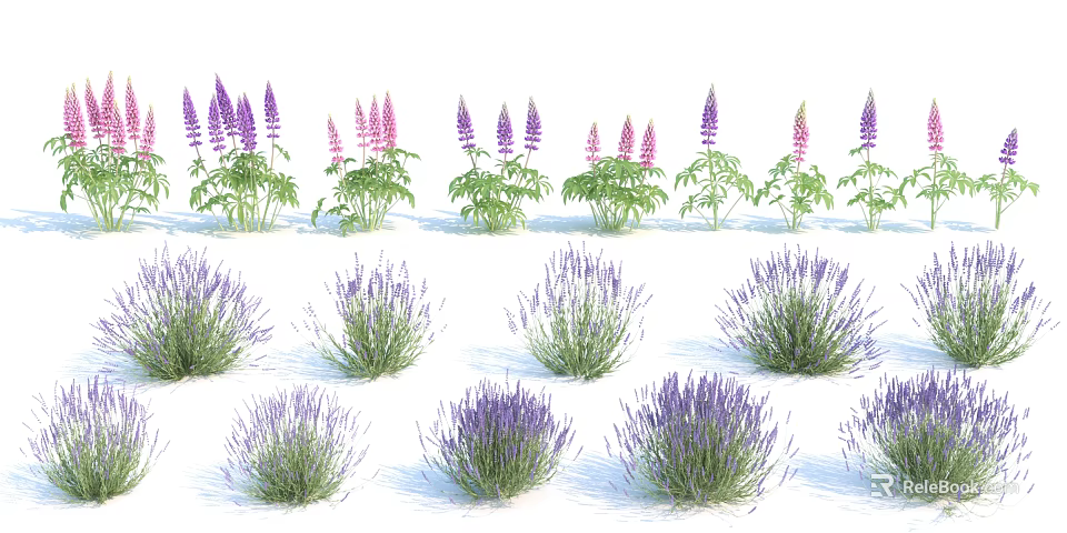 Vibrant Purple Garden Flowers Including Lavender And Lupine With Green Foliage 3d model 
