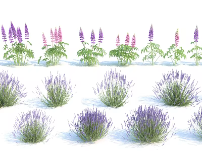 Vibrant Purple Garden Flowers Including Lavender And Lupine With Green Foliage 3d model