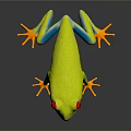 Vibrant Green Frog with Red Eyes Blue Stripes and Yellow Toes on Black Background