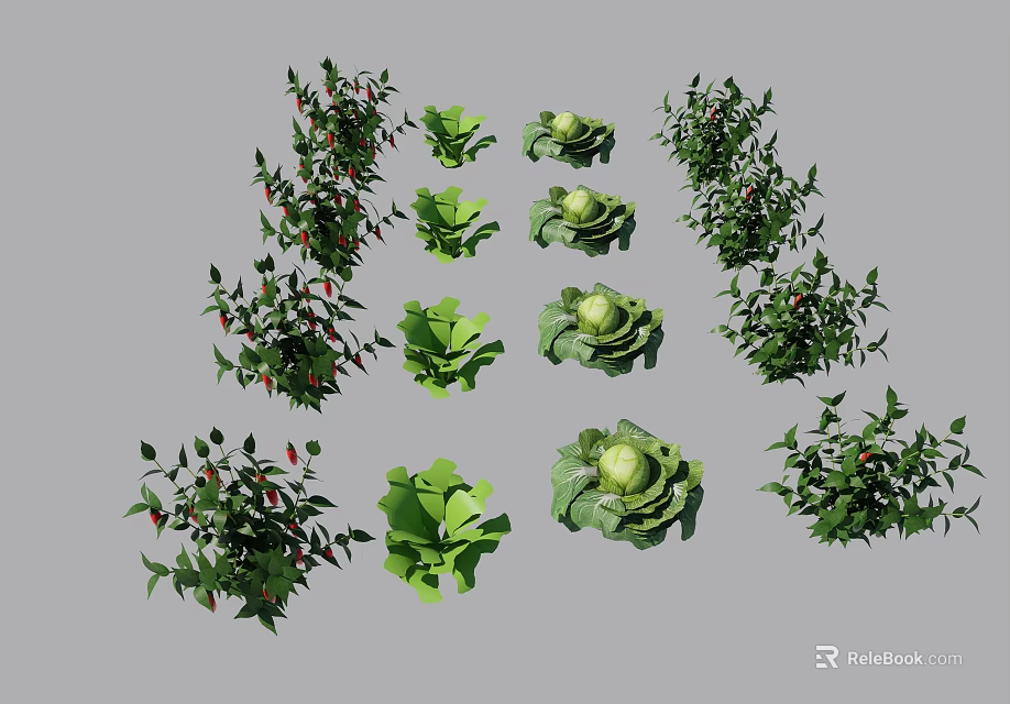Fresh Green Crops Chilies Lettuce And Cabbage Growing On Gray Background 3d model 