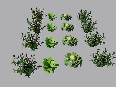 Fresh Green Crops Chilies Lettuce And Cabbage Growing On Gray Background 3d model