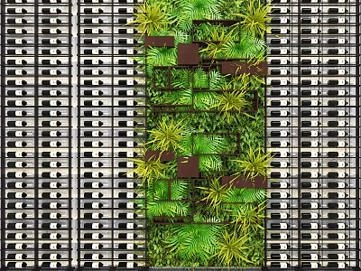 Stunning Green Living Wall With Diverse Tropical Plants And Vertical Structure 3d model