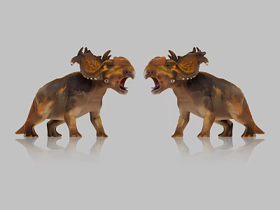 Colorful Reptile Triceratops Models With Open Mouths And Detailed Horns Standing On Reflective Surface 3d model