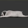 Cute White Pug Stuffed Toy Lying Down On Black Surface With Reflection 3d model