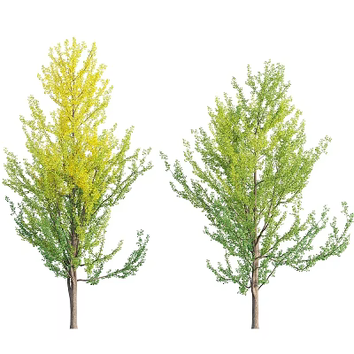 Lush Vibrant Arbor Trees With Yellow And Green Leaves In Natural Setting 3d model