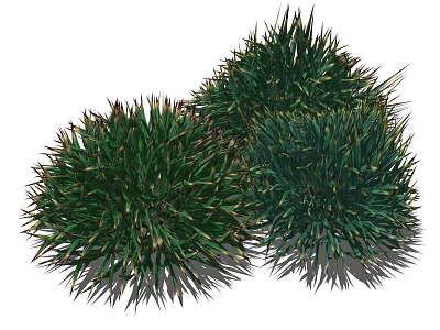 Three Bushy Green Grass Clumps With Lush Sharp Leaves And Natural Growth Shape 3d model