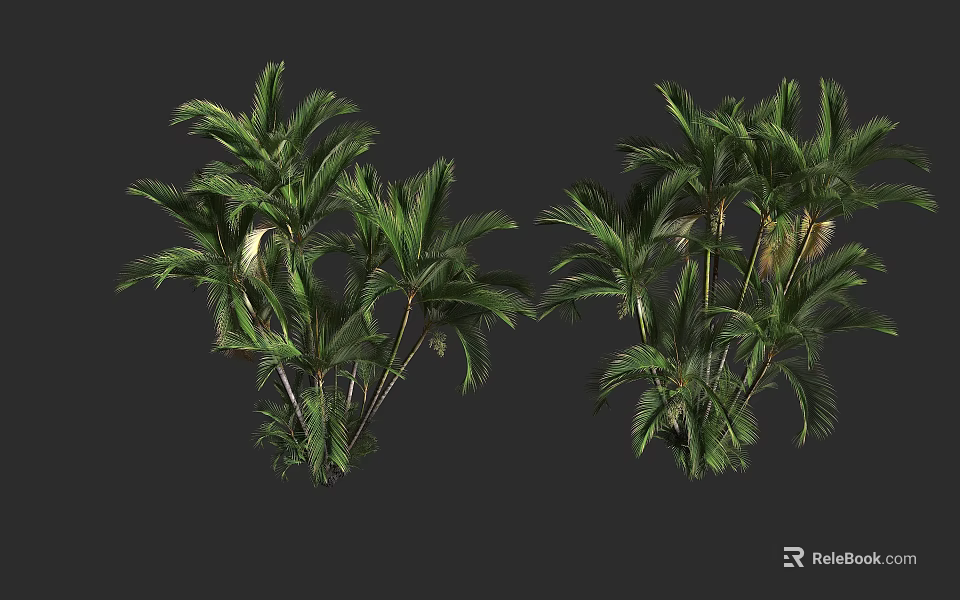 Lush Green Tropical Shrubs With Dense Foliage And Multiple Stems For Garden Landscaping 3d model 