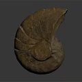 Spiral Stone Sculpture With Natural Fossil Like Texture On Dark Reflective Background