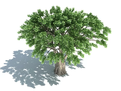 Lush Green Arbor With Sturdy Trunk And Dense Foliage Casting Natural Shade 3d model