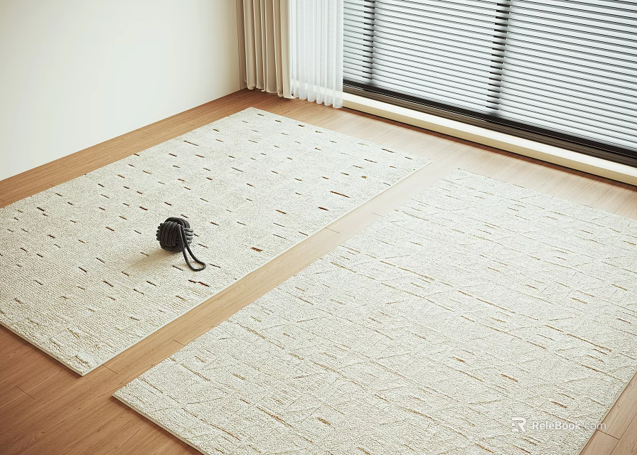 Two Square Rugs In Bright Room With Wooden Floor And Window 3d model 
