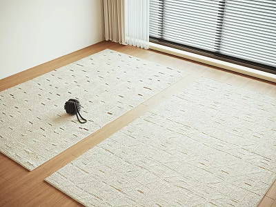 Two Square Rugs In Bright Room With Wooden Floor And Window 3d model