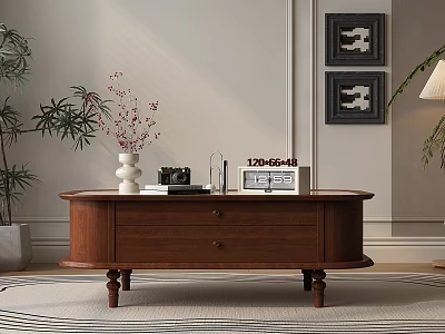 Stylish Brown Wooden Coffee Table With Drawers Green Plants White Vase On Rug 3d model