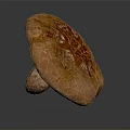 Modern Mushroom Straw Mushroom Shiitake 3d model