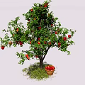Red Fruit Bearing Tree With Basket of Fruits Under Against Blue Sky and White Clouds