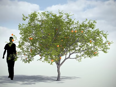 Green Leafy Tree With Orange Fruits And Walking Person Silhouette Under Blue Sky 3d model